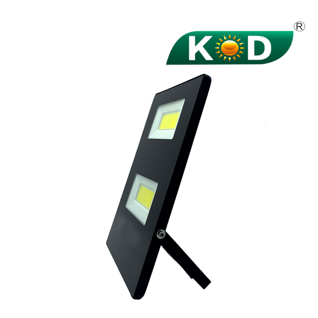 FL-100W Flood Light Which Used COB And for Outdoor Using Multiple Seals Outdoor Waterproof And Dustproof 